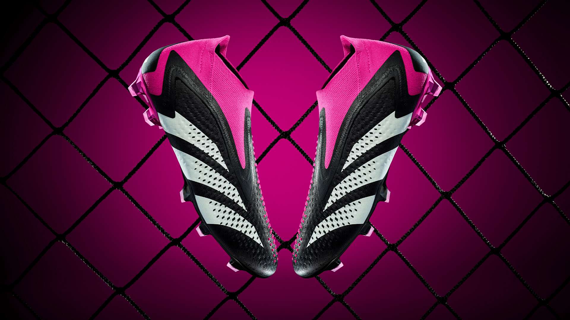 中国足球迷 中国足球迷